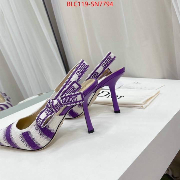 Women Shoes-Dior,online store , ID: SN7794,$: 119USD