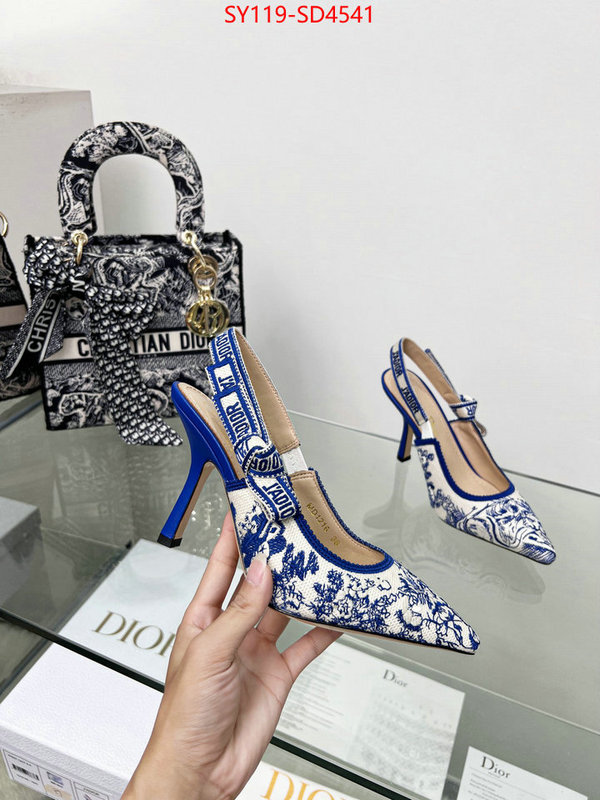 Women Shoes-Dior,most desired , ID: SD4541,$: 119USD