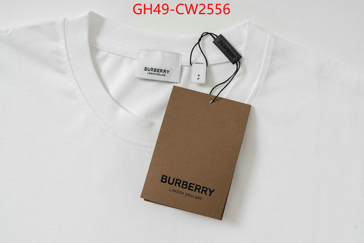 Clothing-Burberry,buy cheap , ID: CW2556,$: 49USD