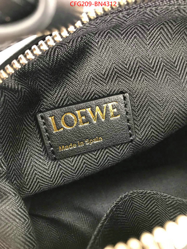 Loewe Bags(TOP)-Cubi,top 1:1 replica ,ID: BN4312,$: 209USD