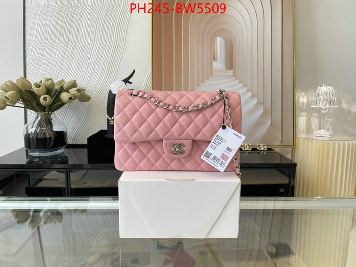 Chanel Bags(TOP)-Diagonal-,ID: BW5509,$: 245USD