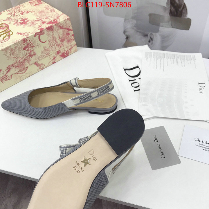 Women Shoes-Dior,how to find replica shop , ID: SN7806,$: 119USD