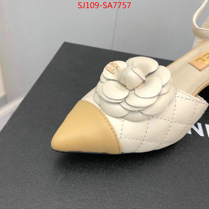 Women Shoes-Chanel,shop , ID: SA7757,$: 109USD