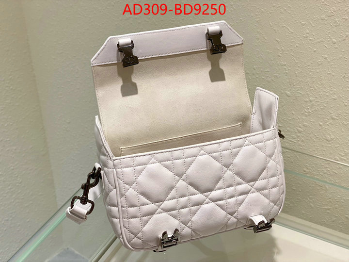 Dior Bags(TOP)-Other Style-,ID: BD9250,$: 309USD