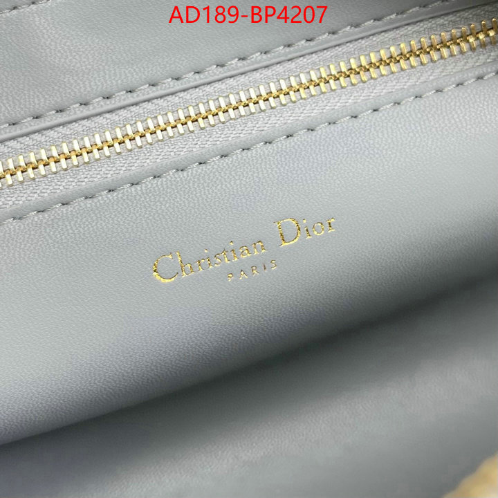 Dior Bags(TOP)-Other Style-,ID: BP4207,$: 189USD