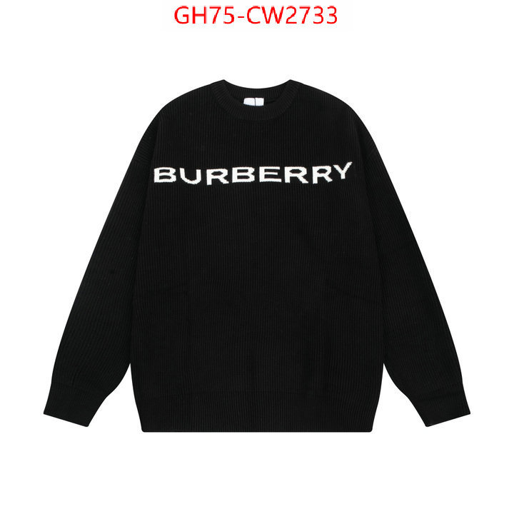 Clothing-Burberry,where can i buy , ID: CW2733,$: 75USD