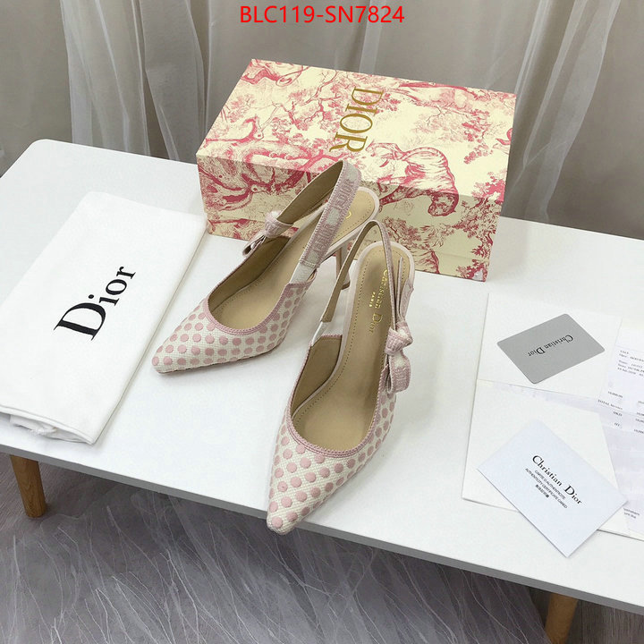 Women Shoes-Dior,online from china designer , ID: SN7824,$: 119USD