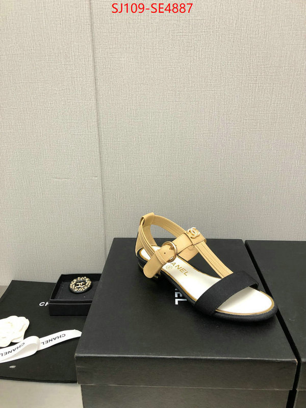 Women Shoes-Chanel,store , ID: SE4887,$: 109USD