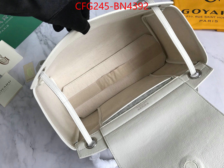 Goyard Bags(TOP)-Handbag-,ID: BN4392,$: 245USD