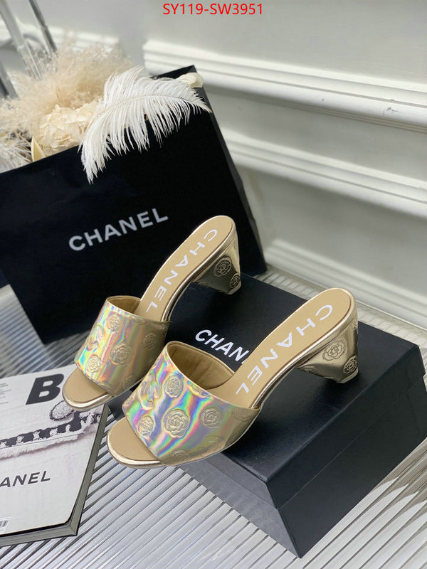 Women Shoes-Chanel,best site for replica , ID: SW3951,$: 119USD