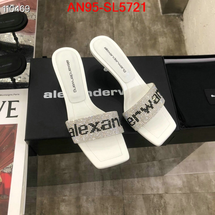 Women Shoes-Alexander Wang,2023 replica wholesale cheap sales online , ID: SL5721,$: 95USD