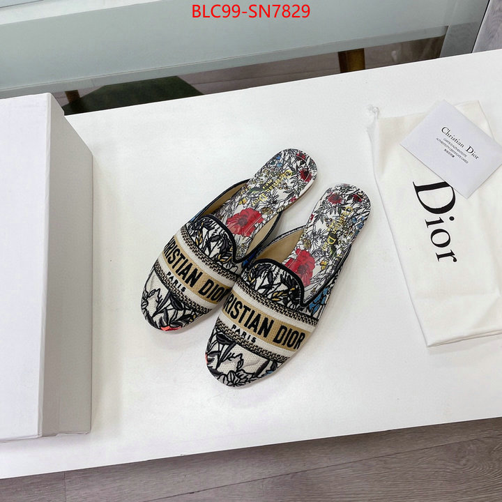 Women Shoes-Dior,website to buy replica , ID: SN7829,$: 99USD