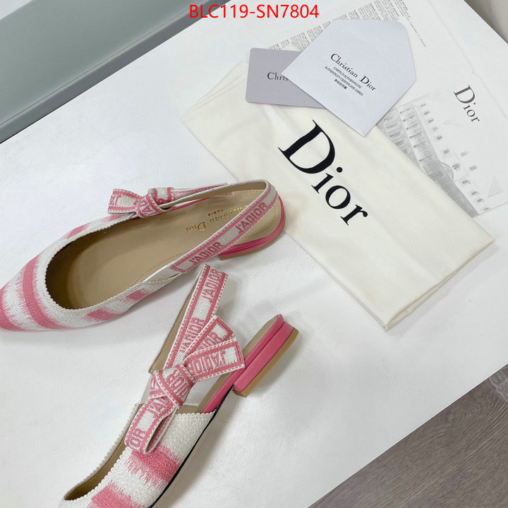 Women Shoes-Dior,wholesale designer shop , ID: SN7804,$: 119USD