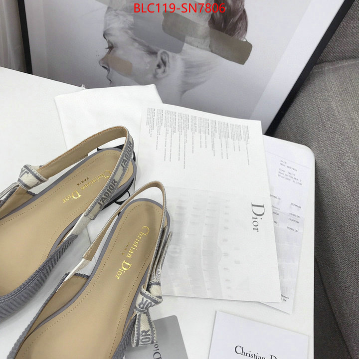 Women Shoes-Dior,how to find replica shop , ID: SN7806,$: 119USD