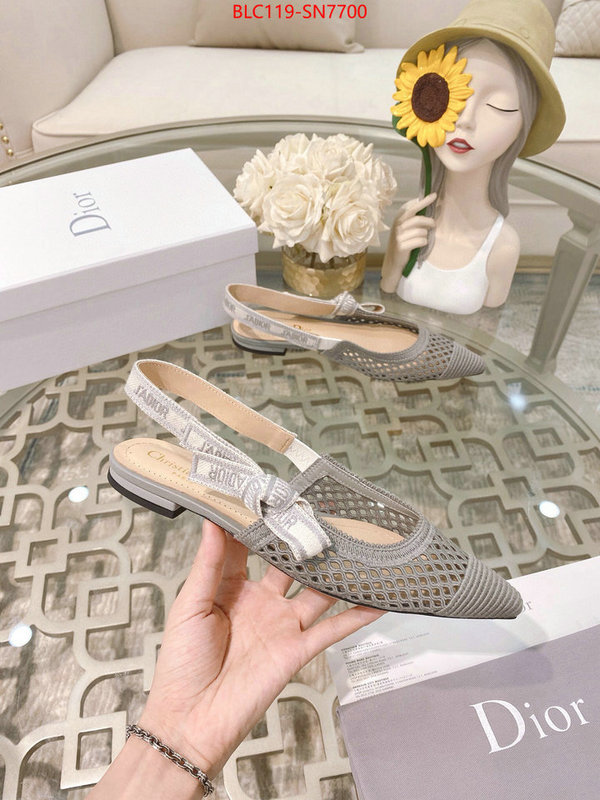 Women Shoes-Dior,sell online luxury designer , ID: SN7700,$: 119USD