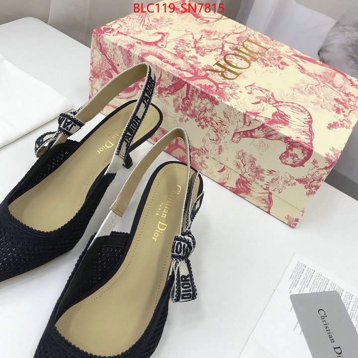 Women Shoes-Dior,shop cheap high quality 1:1 replica , ID: SN7815,$: 119USD