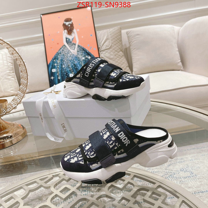 Women Shoes-Dior,designer , ID: SN9388,$: 119USD