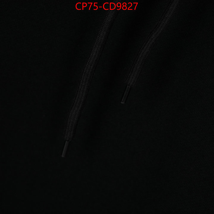 Clothing-Balenciaga,china sale , ID: CD9827,$: 75USD