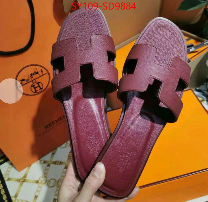 Women Shoes-Hermes,what are the best replica , ID: SD9884,$: 109USD