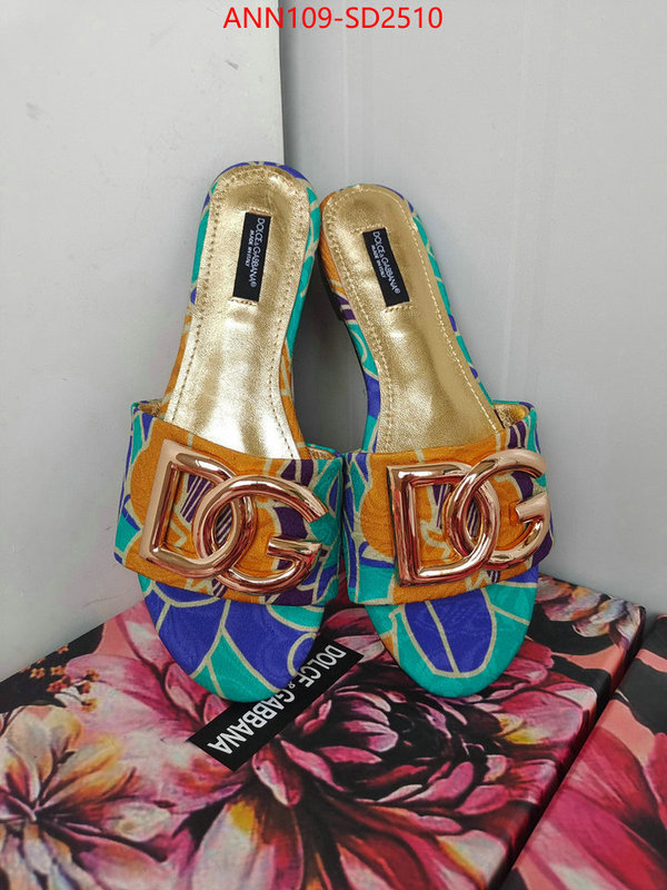 Women Shoes-DG,what 1:1 replica , ID: SD2510,$: 109USD