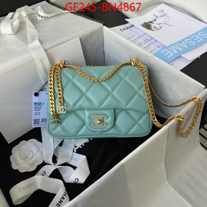 Chanel Bags(TOP)-Diagonal-,ID: BN4867,$: 245USD