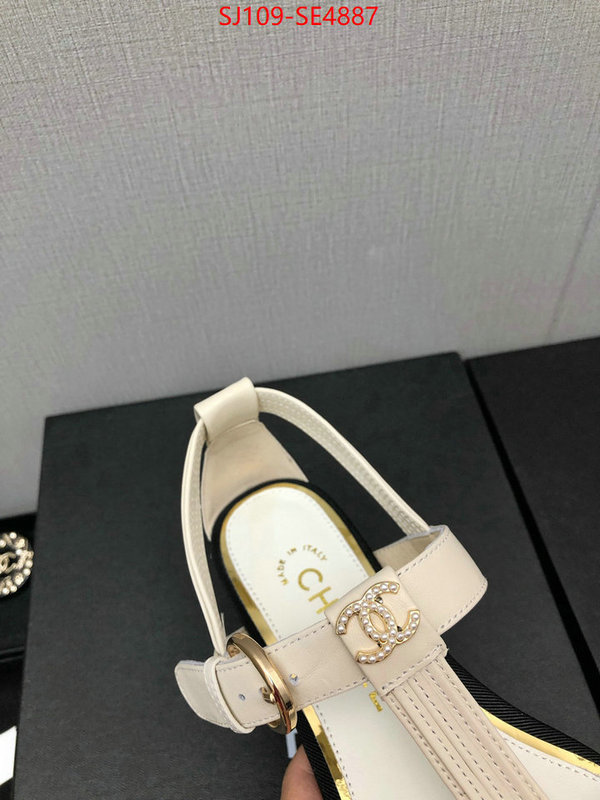 Women Shoes-Chanel,store , ID: SE4887,$: 109USD