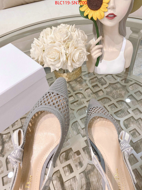 Women Shoes-Dior,sell online luxury designer , ID: SN7700,$: 119USD