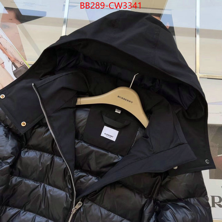 Down jacket Women-Burberry,high quality perfect , ID: CW3341,$: 289USD