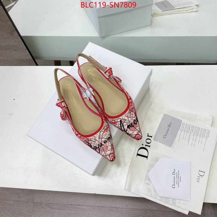 Women Shoes-Dior,designer wholesale replica , ID: SN7809,$: 119USD