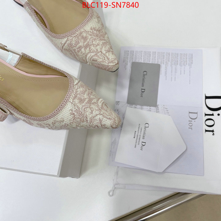 Women Shoes-Dior,replica designer , ID: SN7840,$: 119USD