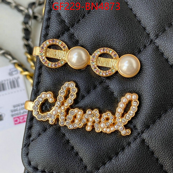 Chanel Bags(TOP)-Diagonal-,ID: BN4873,$: 229USD