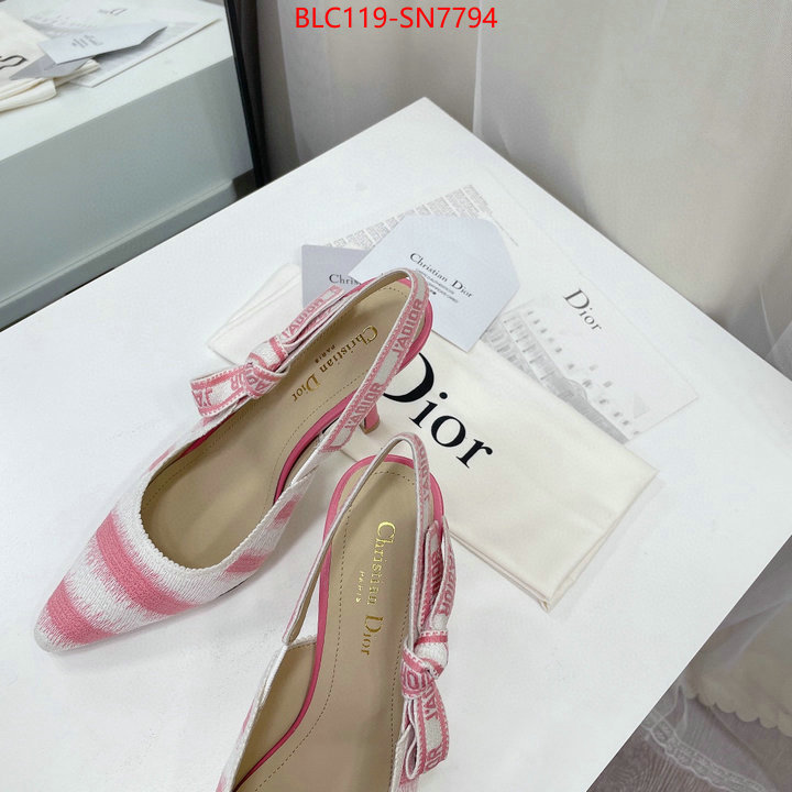 Women Shoes-Dior,online store , ID: SN7794,$: 119USD