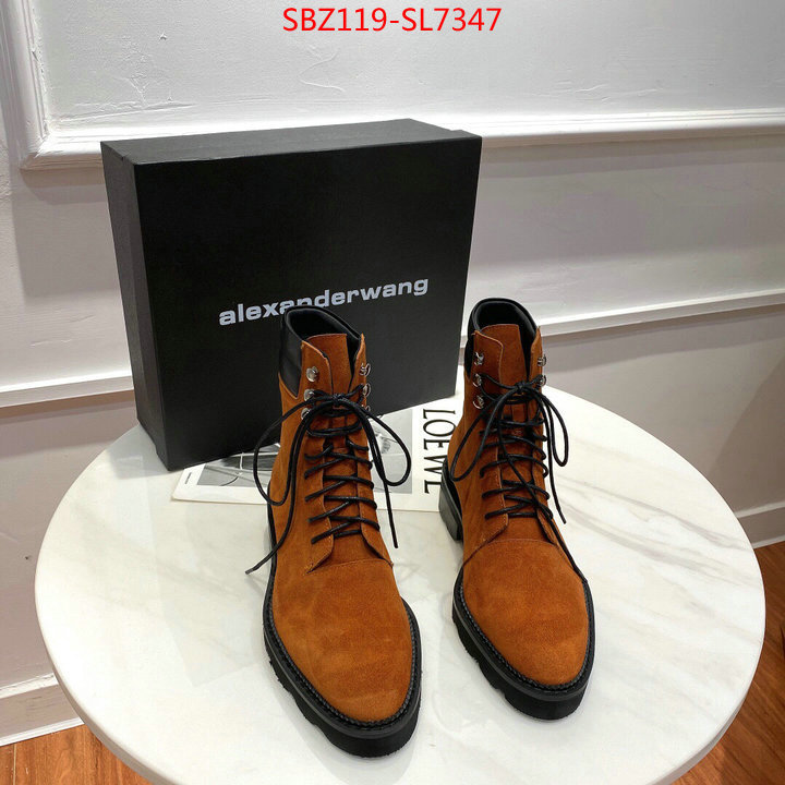 Women Shoes-Alexander Wang,designer fake , ID: SL7347,$: 119USD