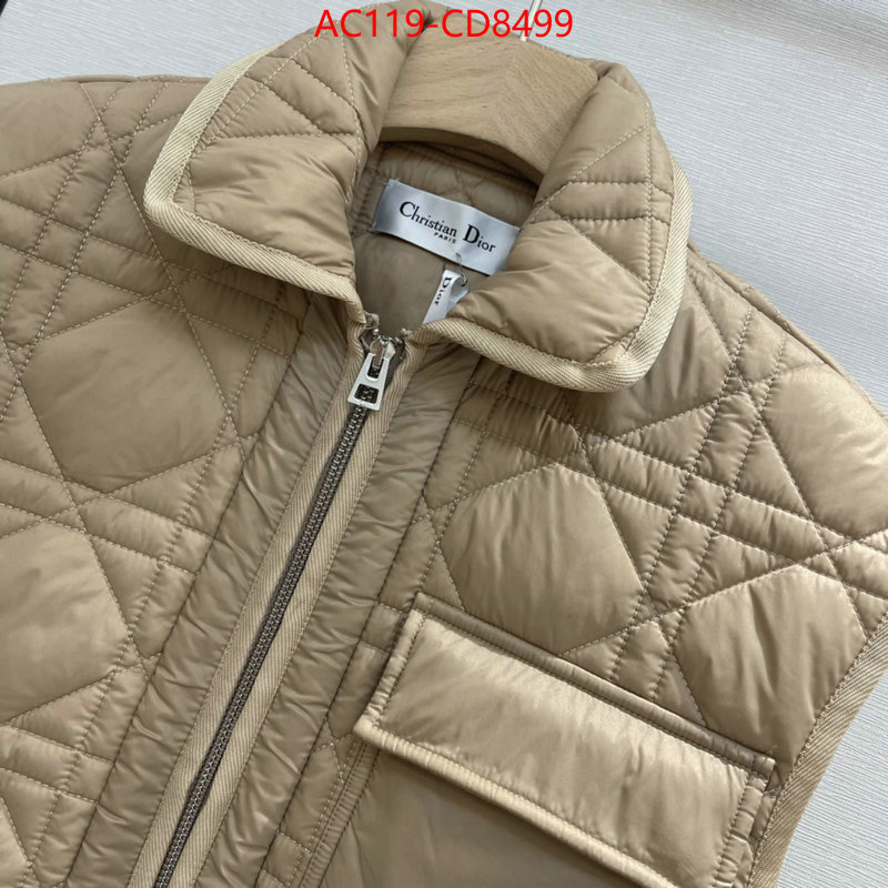 Down jacket Women-Dior,china sale , ID: CD8499,$: 119USD