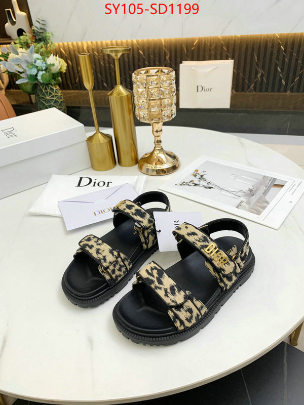 Women Shoes-Dior,online from china designer , ID: SD1199,$: 105USD