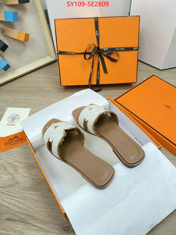 Women Shoes-Hermes,aaaaa replica designer , ID: SE2809,$: 109USD