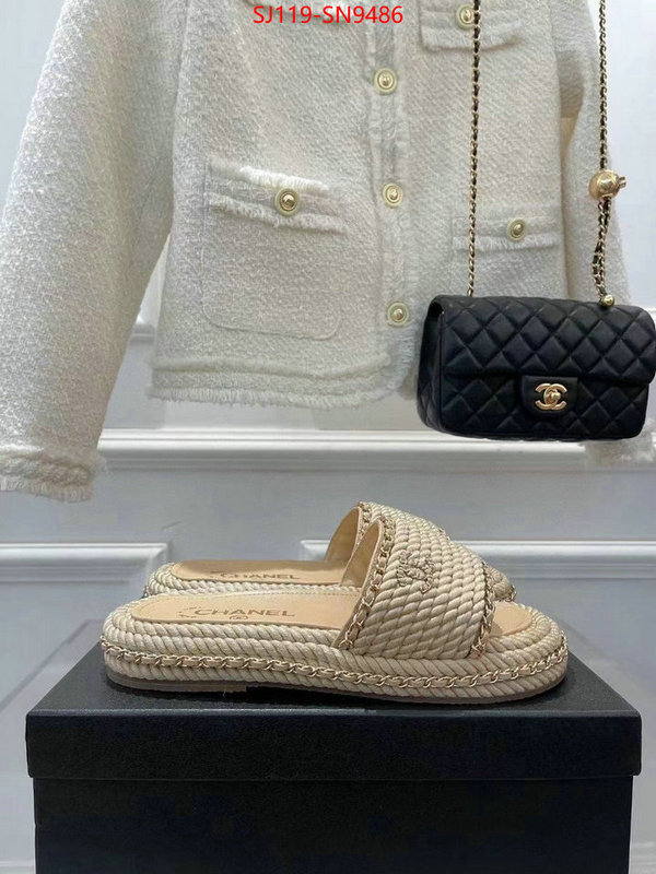 Women Shoes-Chanel,aaaaa+ replica designer , ID: SN9486,$: 119USD