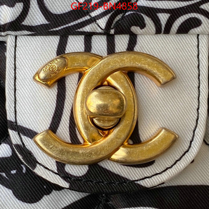 Chanel Bags(TOP)-Diagonal-,ID: BN4858,$: 219USD