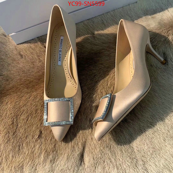 Women Shoes-Manolo Blahnik,7 star collection ,fake cheap best online , ID: SN5599,$: 99USD