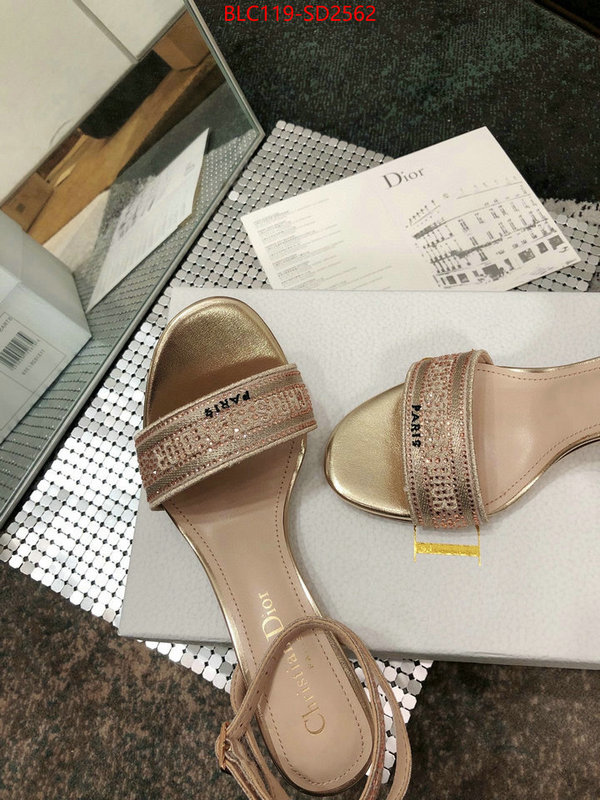 Women Shoes-Dior,first copy , ID: SD2562,$: 119USD