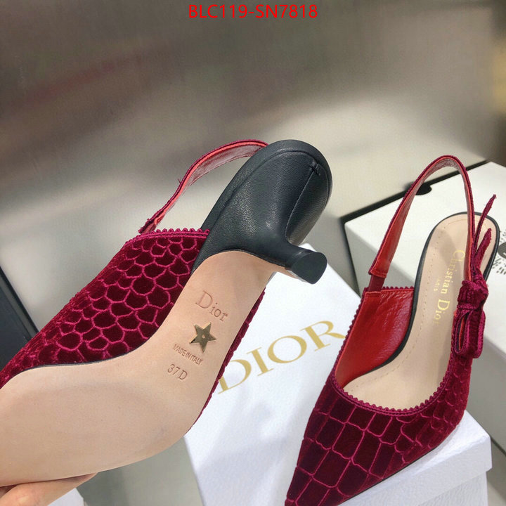 Women Shoes-Dior,aaaaa+ quality replica , ID: SN7818,$: 119USD