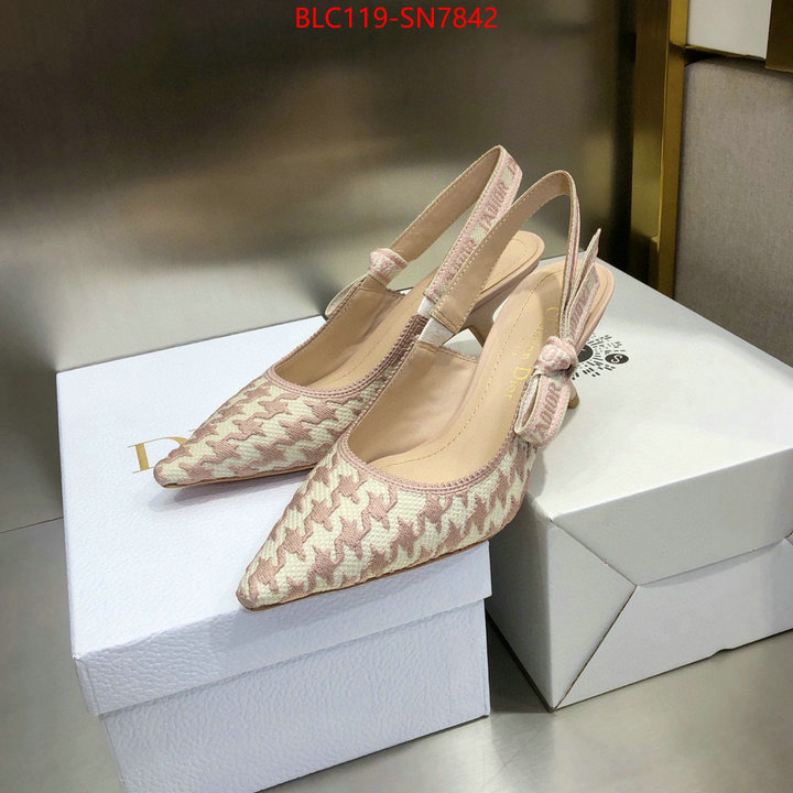 Women Shoes-Dior,designer 7 star replica , ID: SN7842,$: 119USD