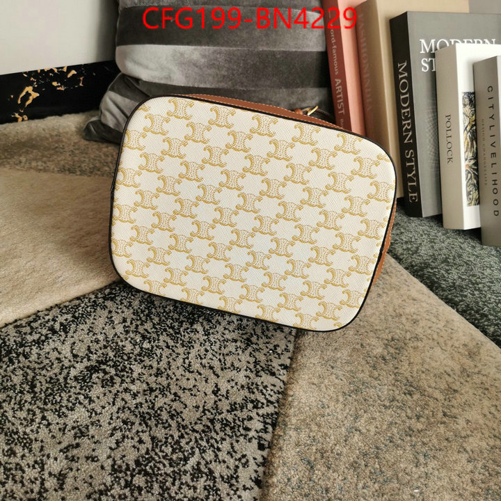 CELINE Bags(TOP)-Diagonal,high quality replica ,ID: BN4229,$: 199USD