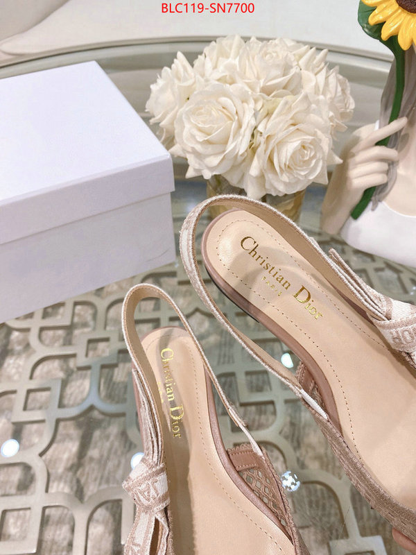 Women Shoes-Dior,sell online luxury designer , ID: SN7700,$: 119USD