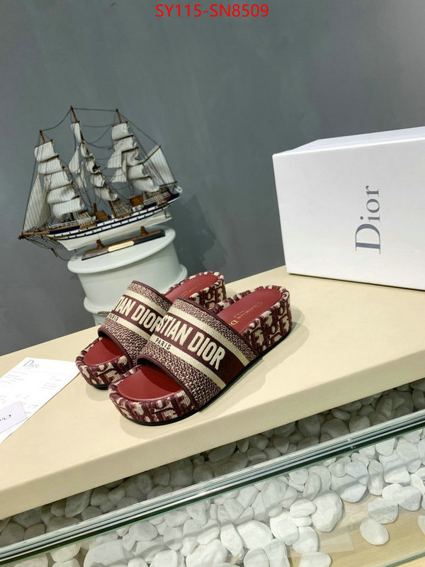 Women Shoes-Dior,sell online , ID: SN8509,$: 115USD