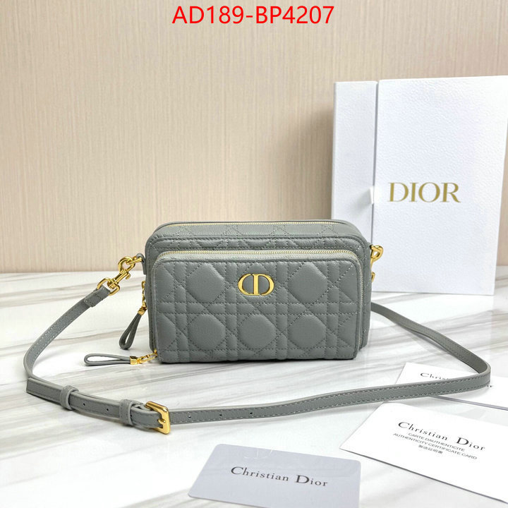 Dior Bags(TOP)-Other Style-,ID: BP4207,$: 189USD