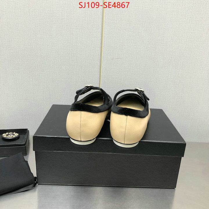 Women Shoes-Chanel,high-end designer , ID: SE4867,$: 109USD