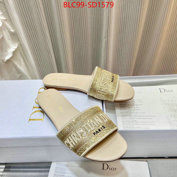 Women Shoes-Dior,buy aaaaa cheap , ID: SD1579,$: 99USD