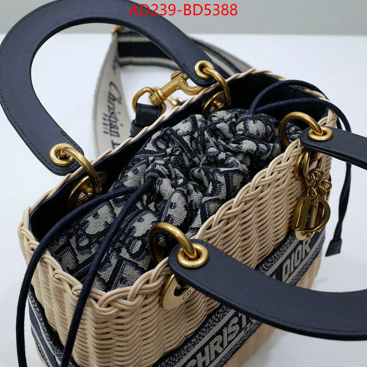 Dior Bags(TOP)-Other Style-,ID: BD5388,$: 239USD