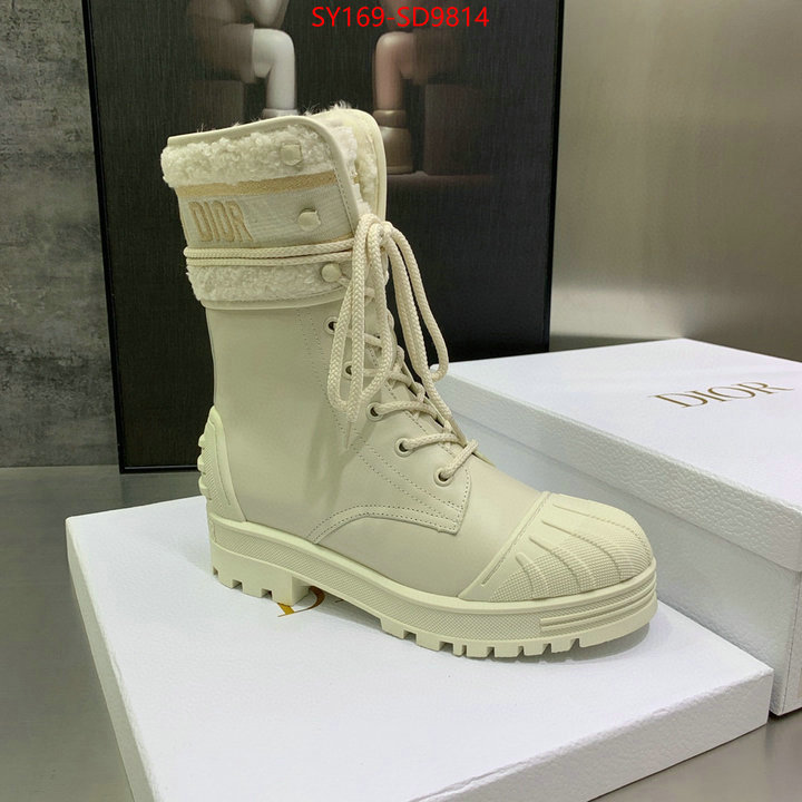 Women Shoes-Dior,is it ok to buy , ID: SD9814,$: 169USD